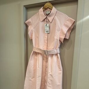 NWT Tuckernuck Chloe Dress - Pink Salt Color